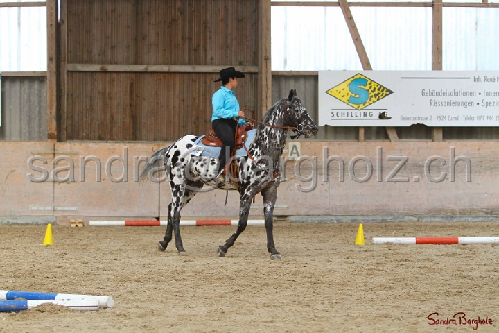 26-ApHC GT_065.jpg